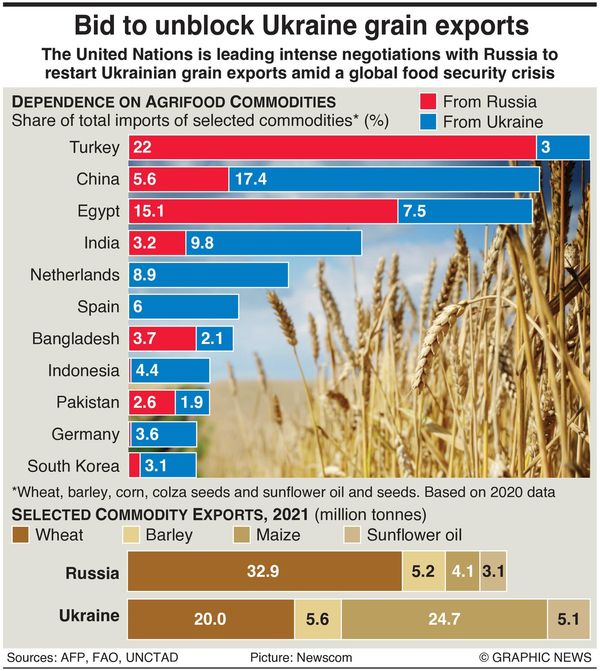 Russia Turkey Discuss Ukraine Grain Export Plan