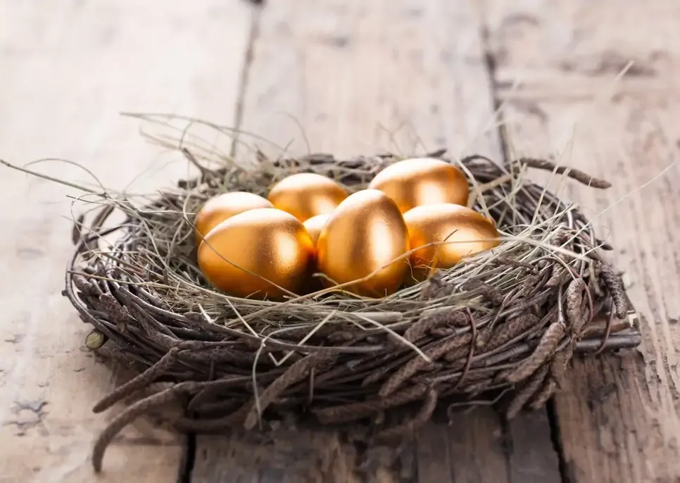 Nest Egg with golden eggs