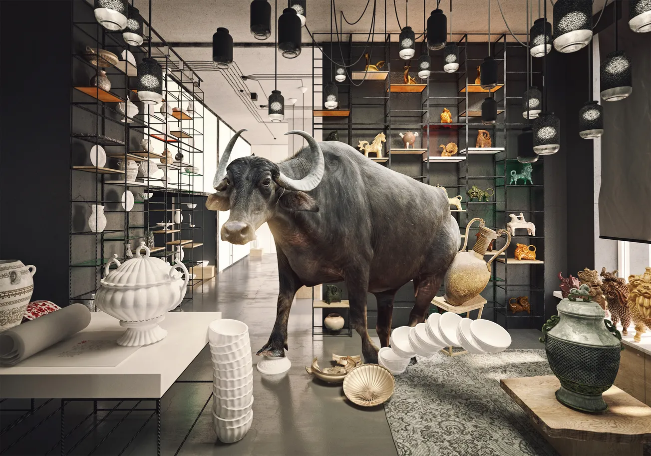 Bull in a china shop image