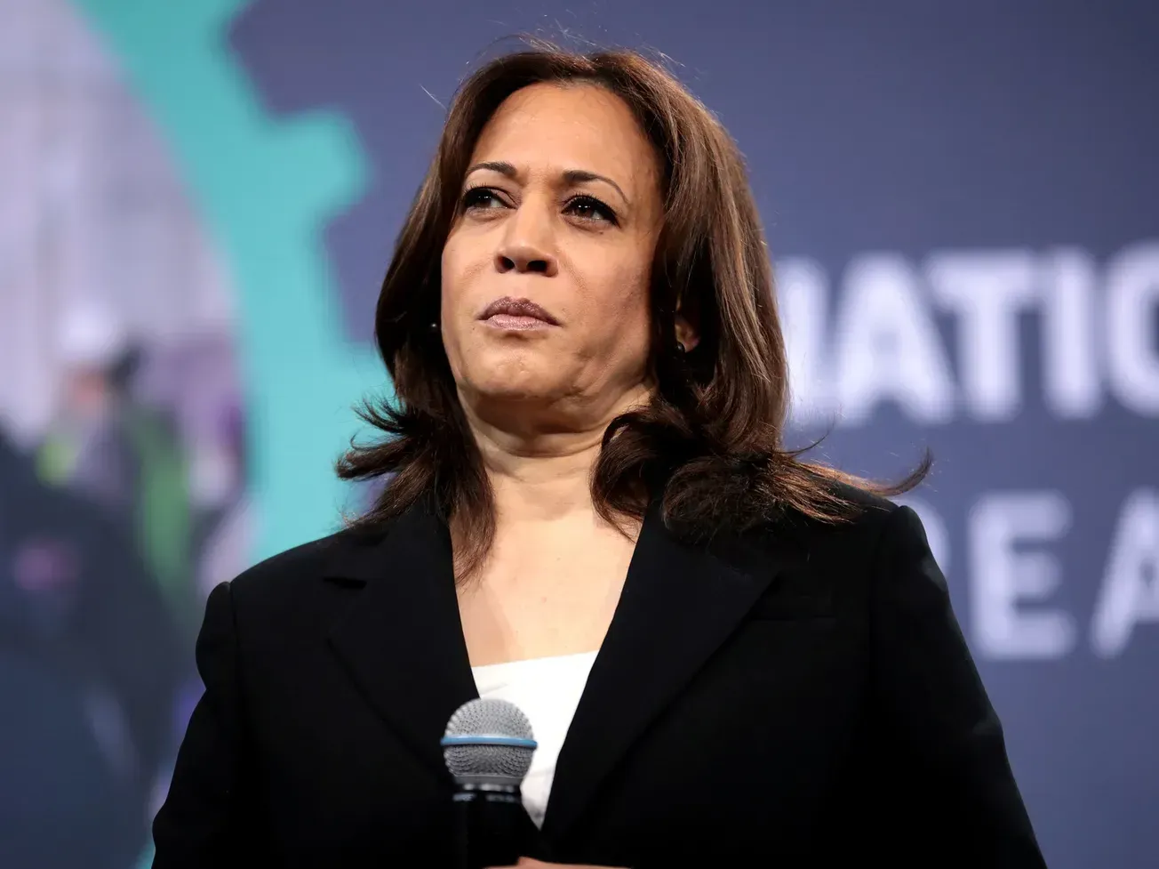 Rooke: Harris World Should Keep Panicking. She’s Floundering In Only Election Metric That Matters