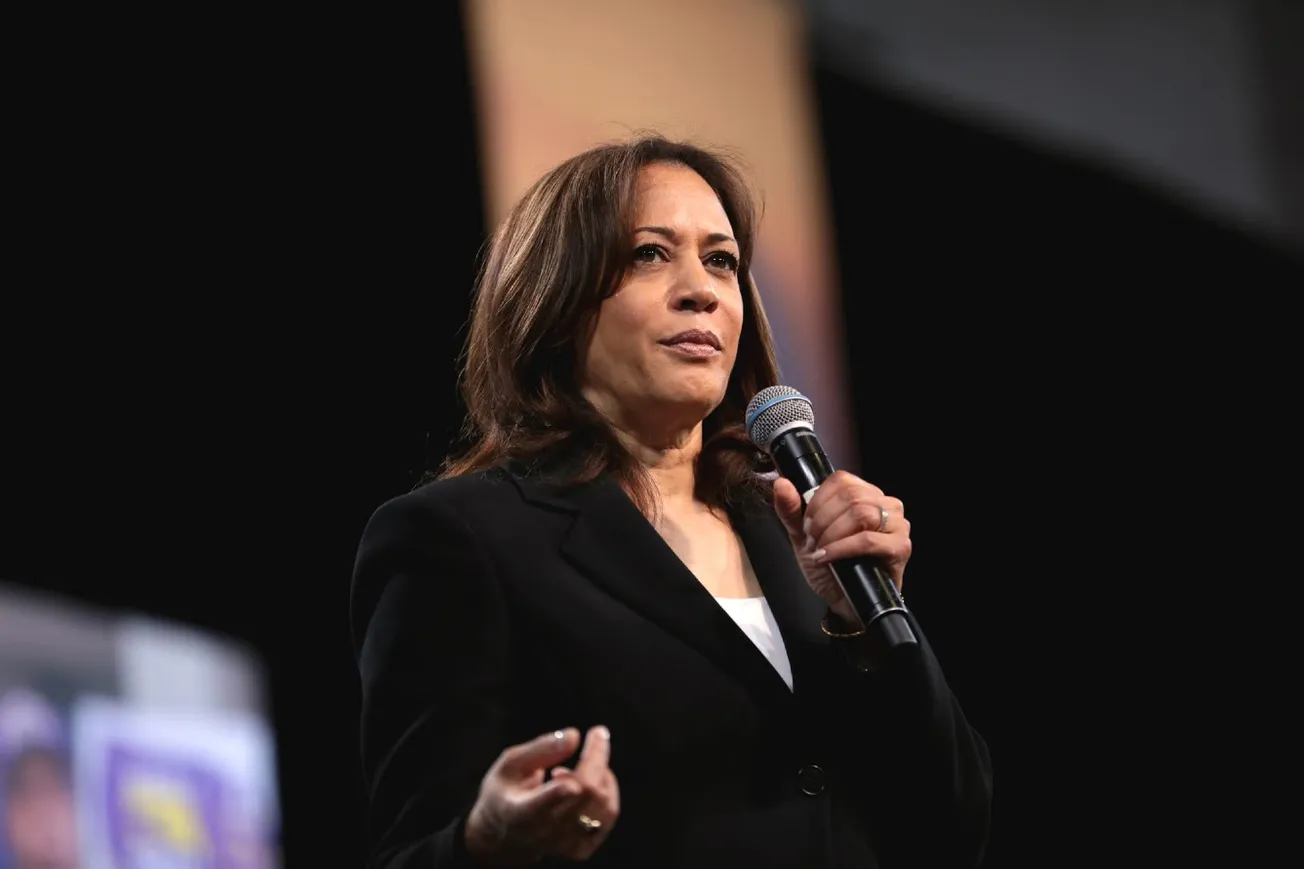 ‘Please Don’t’: Democratic Strategist Pleads With Kamala Harris To Never Run For President Again