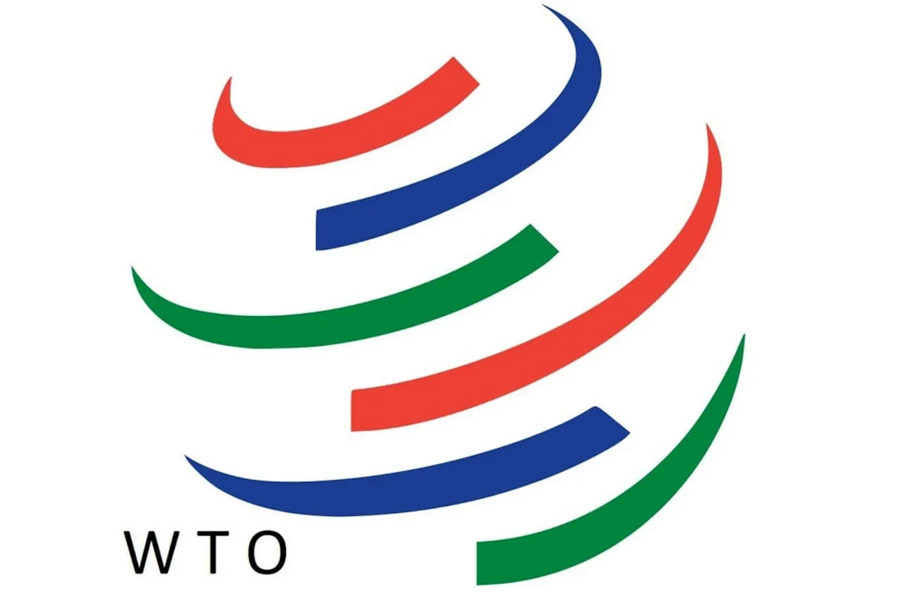 We Can’t Fix International Organizations like the WTO. Abolish Them.