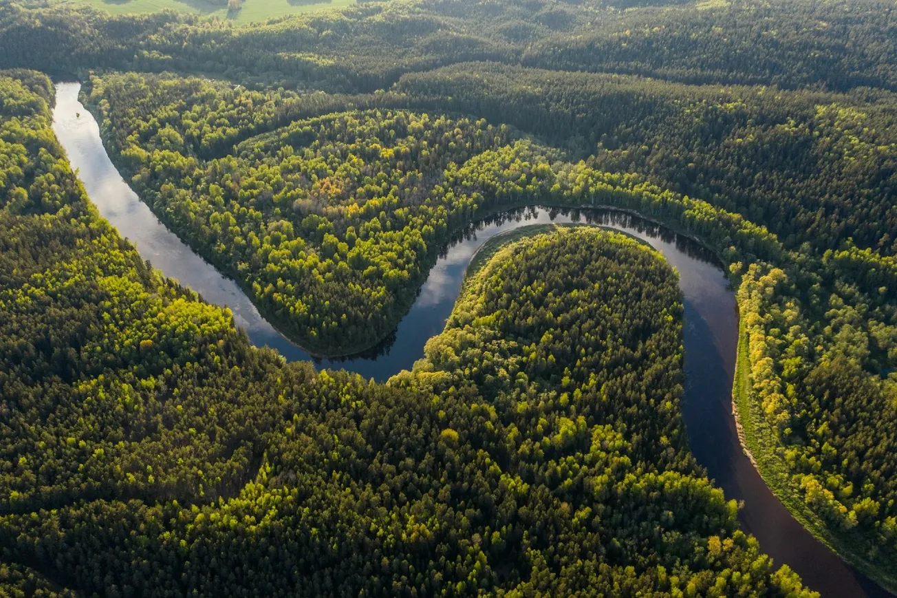 Amazon Rainforest Razed To Build Highway For UN Climate Summit