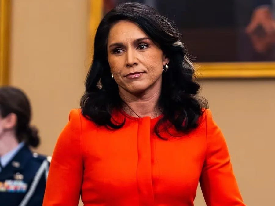 Tulsi Gabbard Releases Evidence Of Politicized 2017 Russia Report