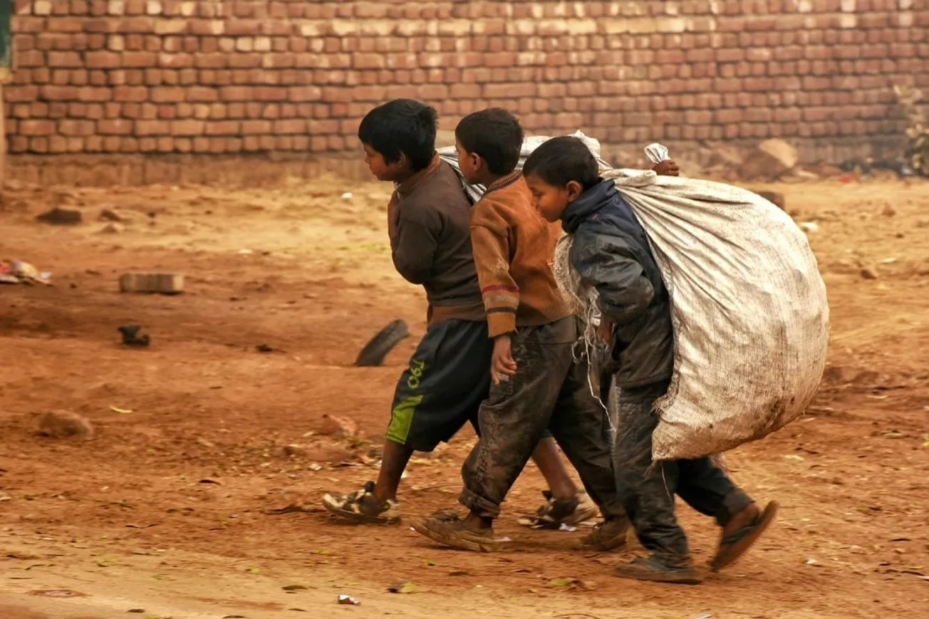 Democrats Use Illegal Aliens To Obtain Cheap Labor To Support Their Lifestyles