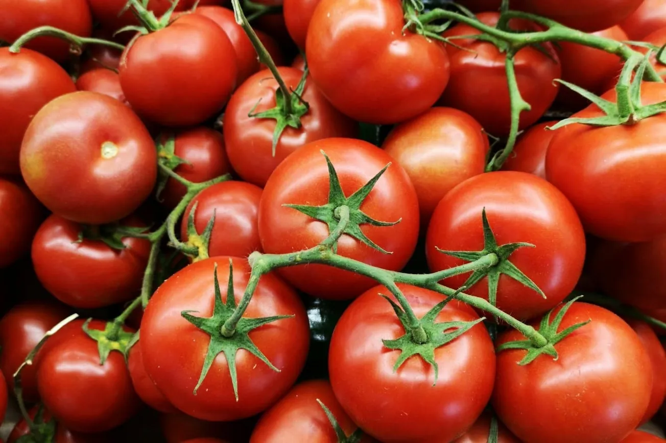 Of Tomatoes And Tariffs