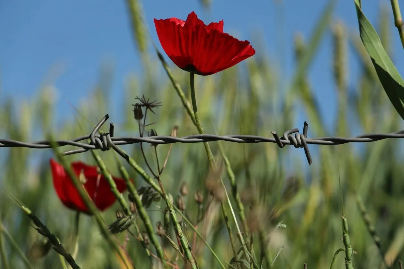 Why Liberalism Failed, And What Is Already Succeeding It