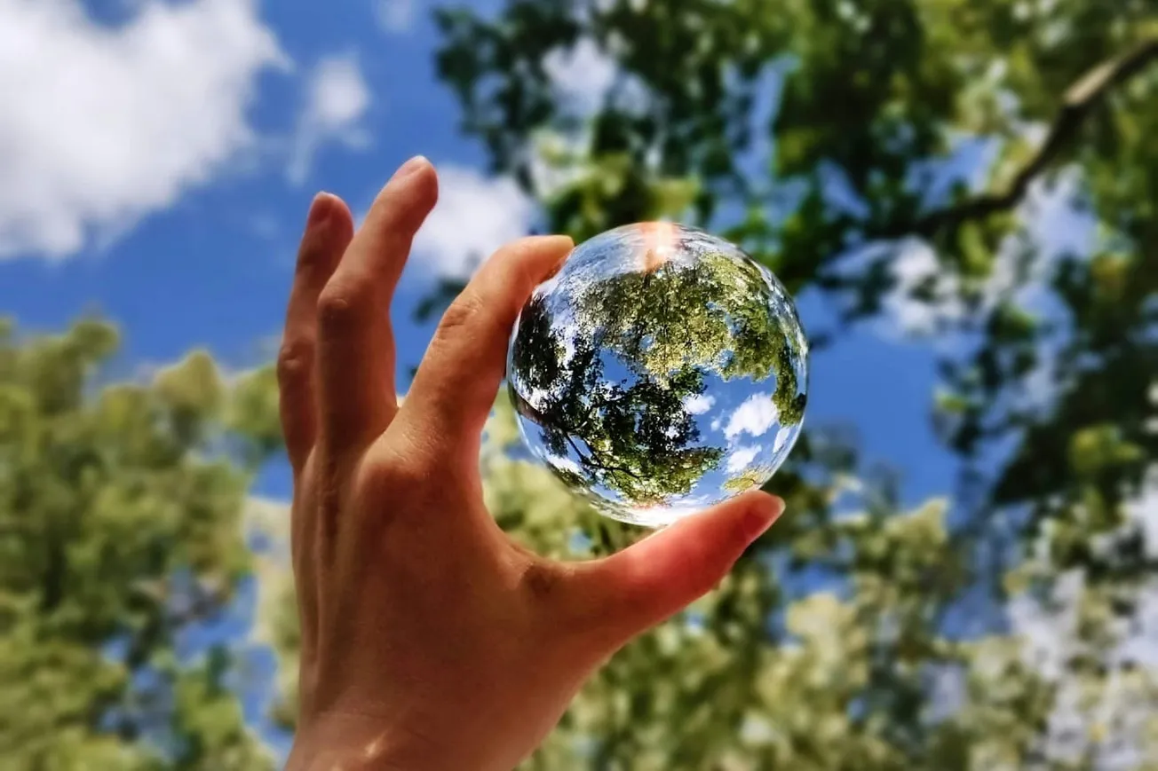 The Eco-Zealots Were Wrong Again