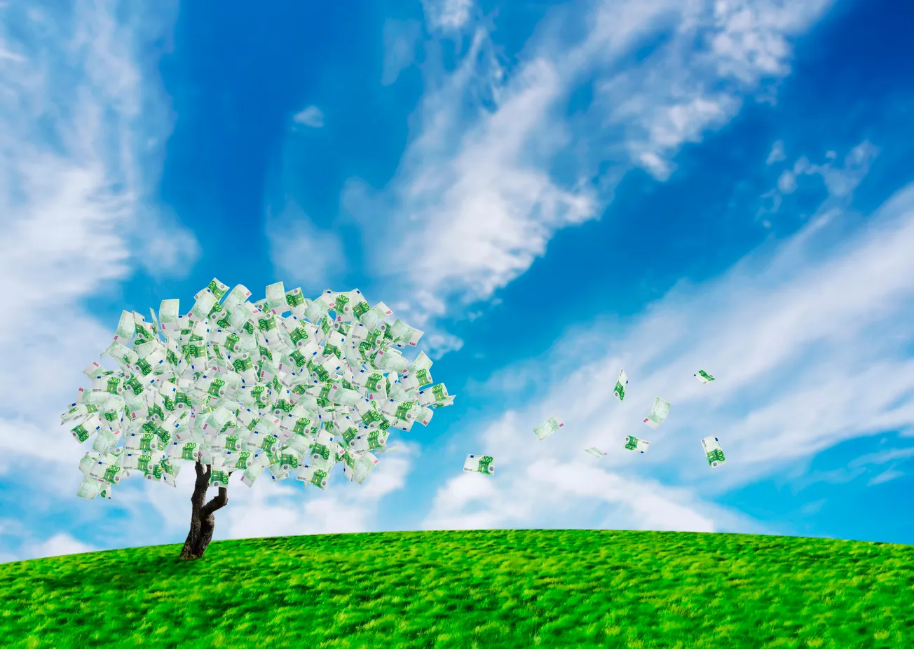 Money Grows On Trees?