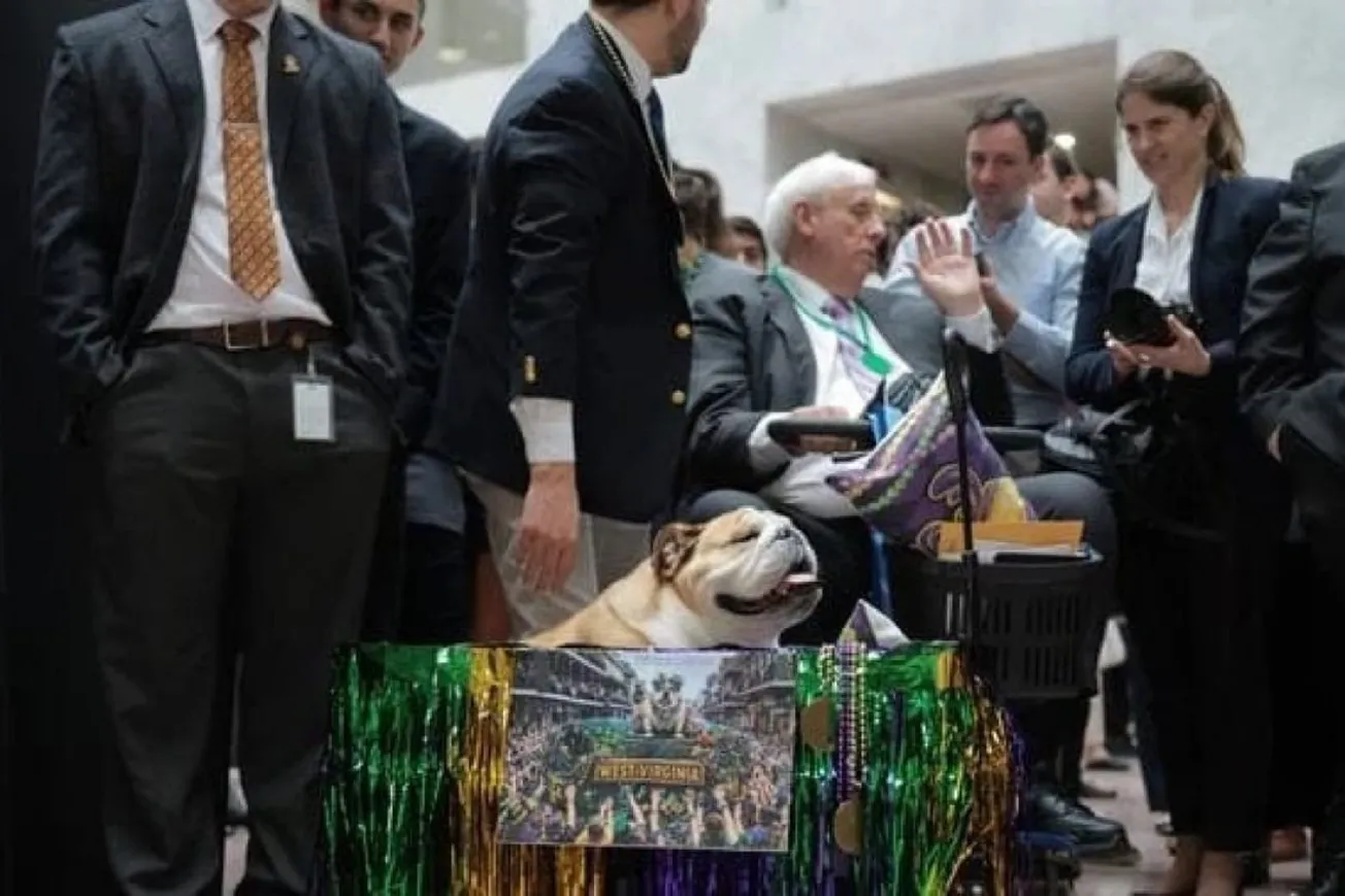 House Republicans Slam Senate For Dog Parade