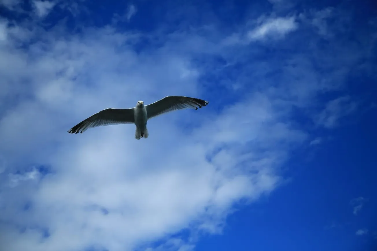 Silent Attacks On Personal Freedom