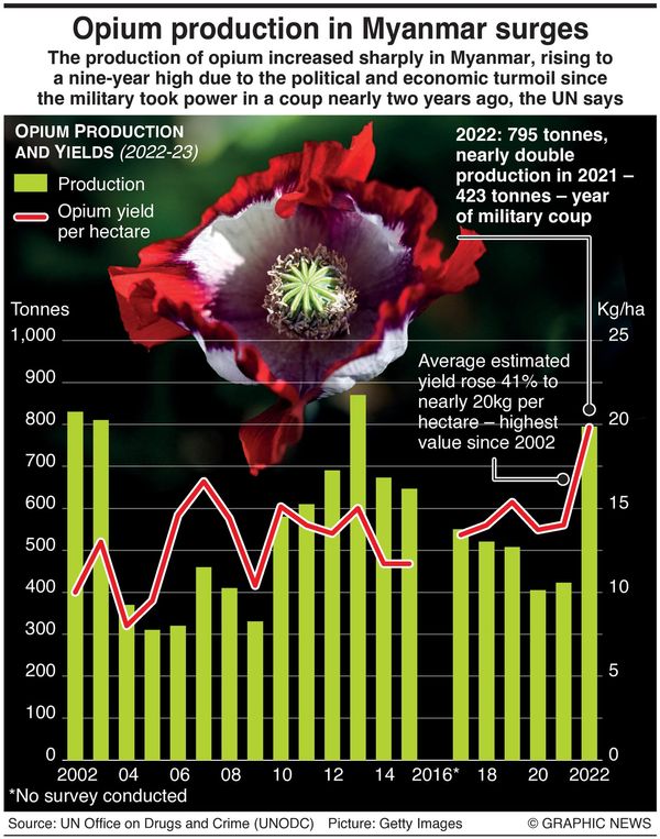 Opium Production In Myanmar Surges